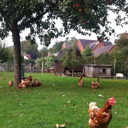 Cider Cottages Burley Eksteriør billede