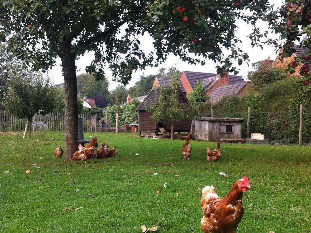 Cider Cottages Burley Eksteriør billede